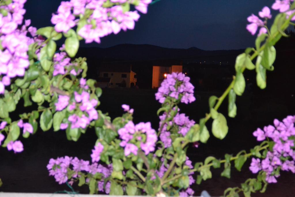 Apartment Klara Біоград-на-Мору Номер фото